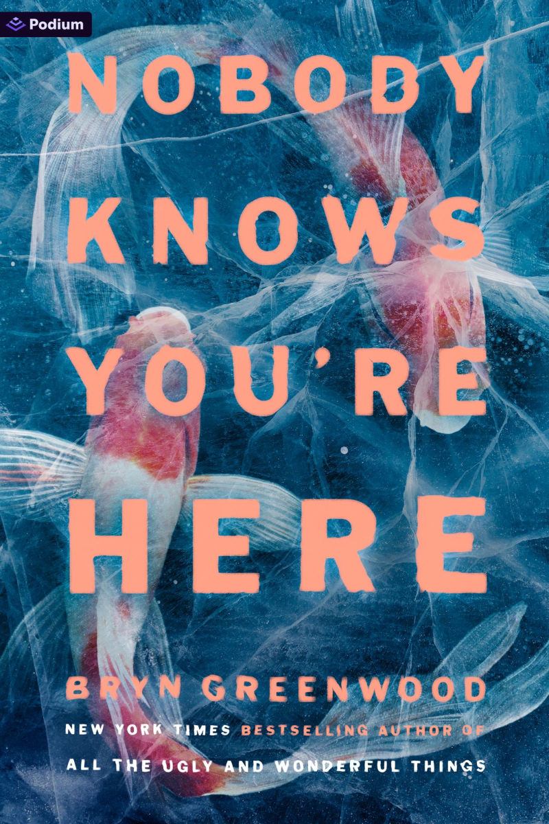 Nobody Knows You're Here by Bryn Greenwood